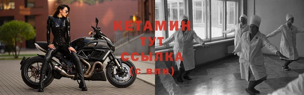 бошки Заводоуковск