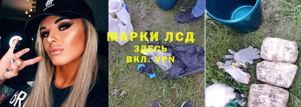 гидра Весьегонск