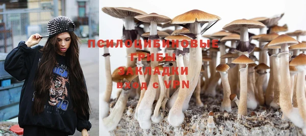 спиды Заволжье