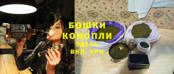бошки Заводоуковск